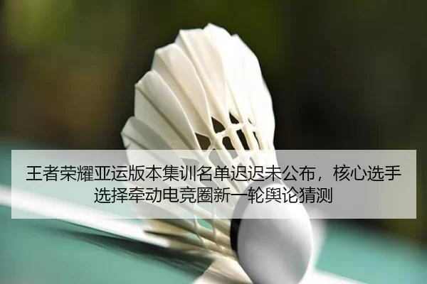 wang-zhe-rong-yao-ya-yun-ban-ben-ji-xun-ming-dan-chi-chi-wei-gong-bu-he-xin-xuan-shou-xuan-ze-qian-dong-dian-jing-quan-2-219.jpg
